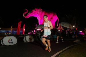 BIB: 
                            <button type="button" onclick="openModal(26535189)" class="btn btn-primary btn-sm float-right btn-popup" data-toggle="modal" data-target=".modal-high-quality">
                        <i class="fas fa-shopping-cart"></i> Add to Cart
                    </button>
                                            <button type="button" onclick="isThisMe(26535189, true)" class="btn btn-success btn-sm float-right btn-popup btn-isme hidden" data-toggle="tooltip" data-placement="bottom" title="นี่คือรูปของคุณใช่ไหม คลิกที่นี่เพื่อเอาเข้าอัลบั้ม">
                        <i class="fas fa-plus"></i> Add to album
                    </button>
                    <button type="button" onclick="isThisMe(26535189, false)" class="btn btn-warning btn-sm float-right btn-popup btn-isnotme hidden">
                        <i class="fas fa-ban"></i> Remove from album
                    </button>